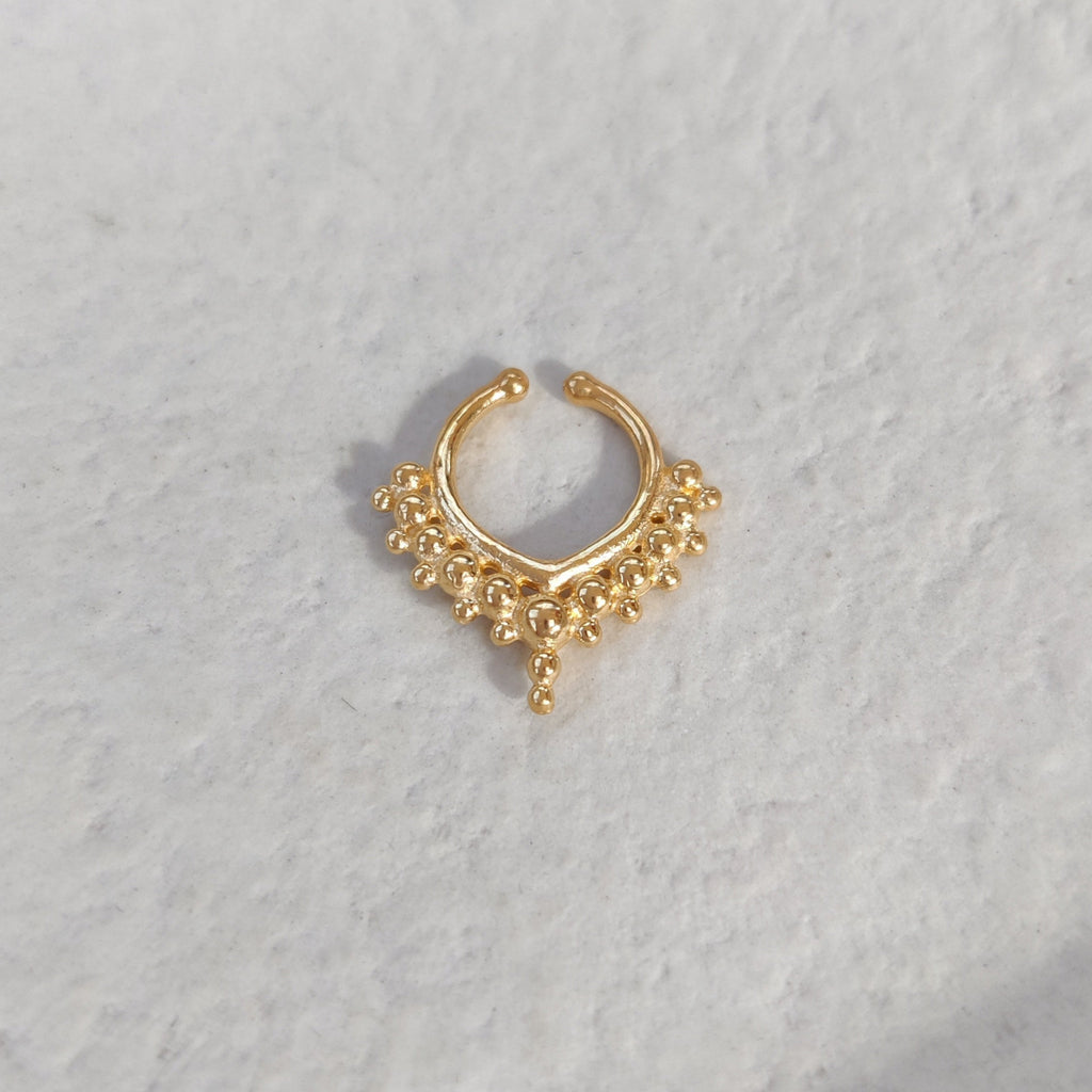 Gold nose ring on a light background.