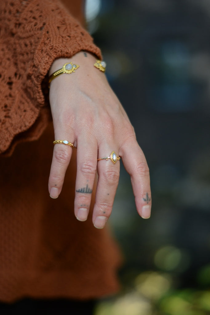 Close-up of a hand wearing multiple gold rings with a blurred natural background